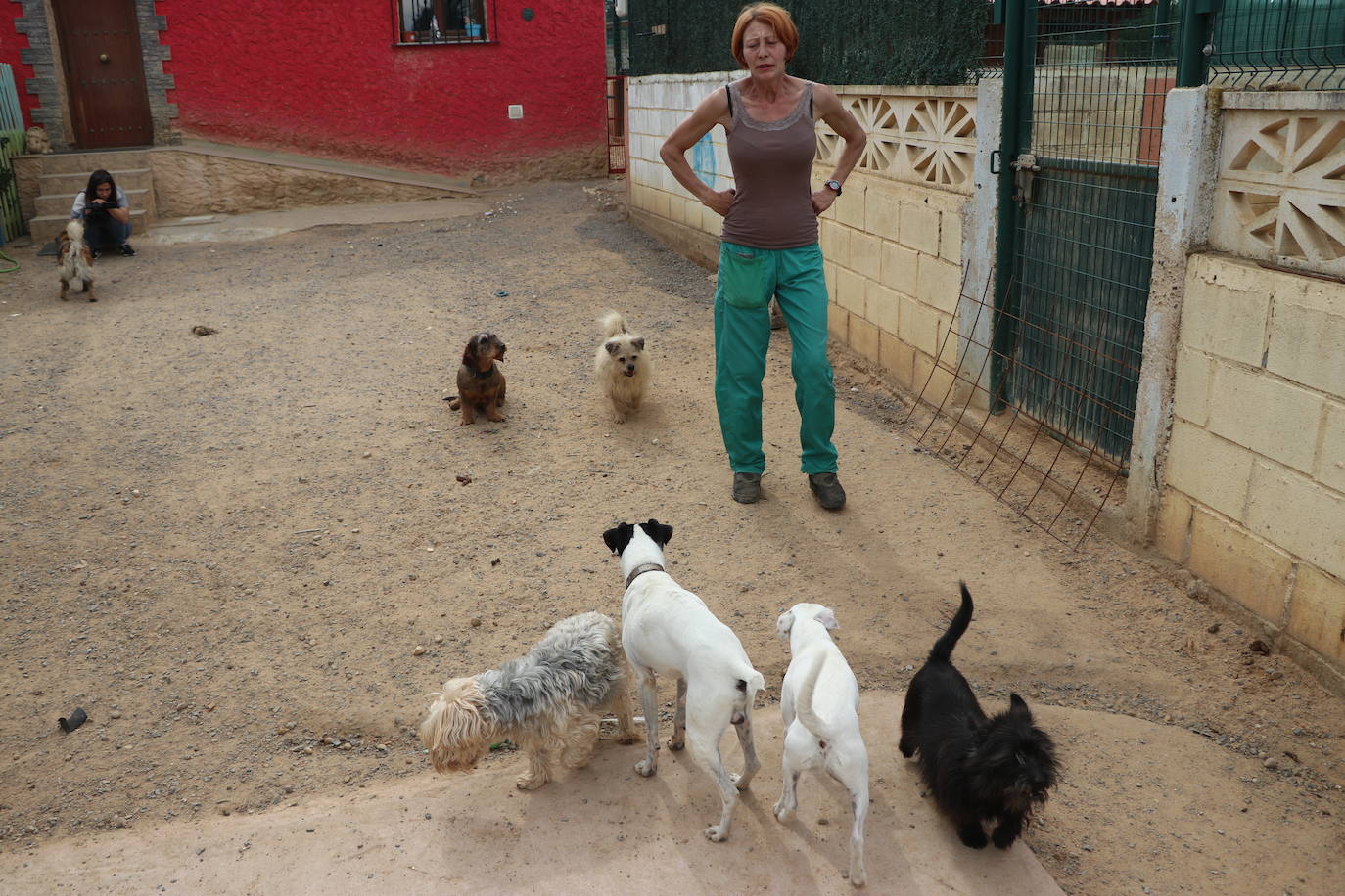 Hotel canino Las Lomas