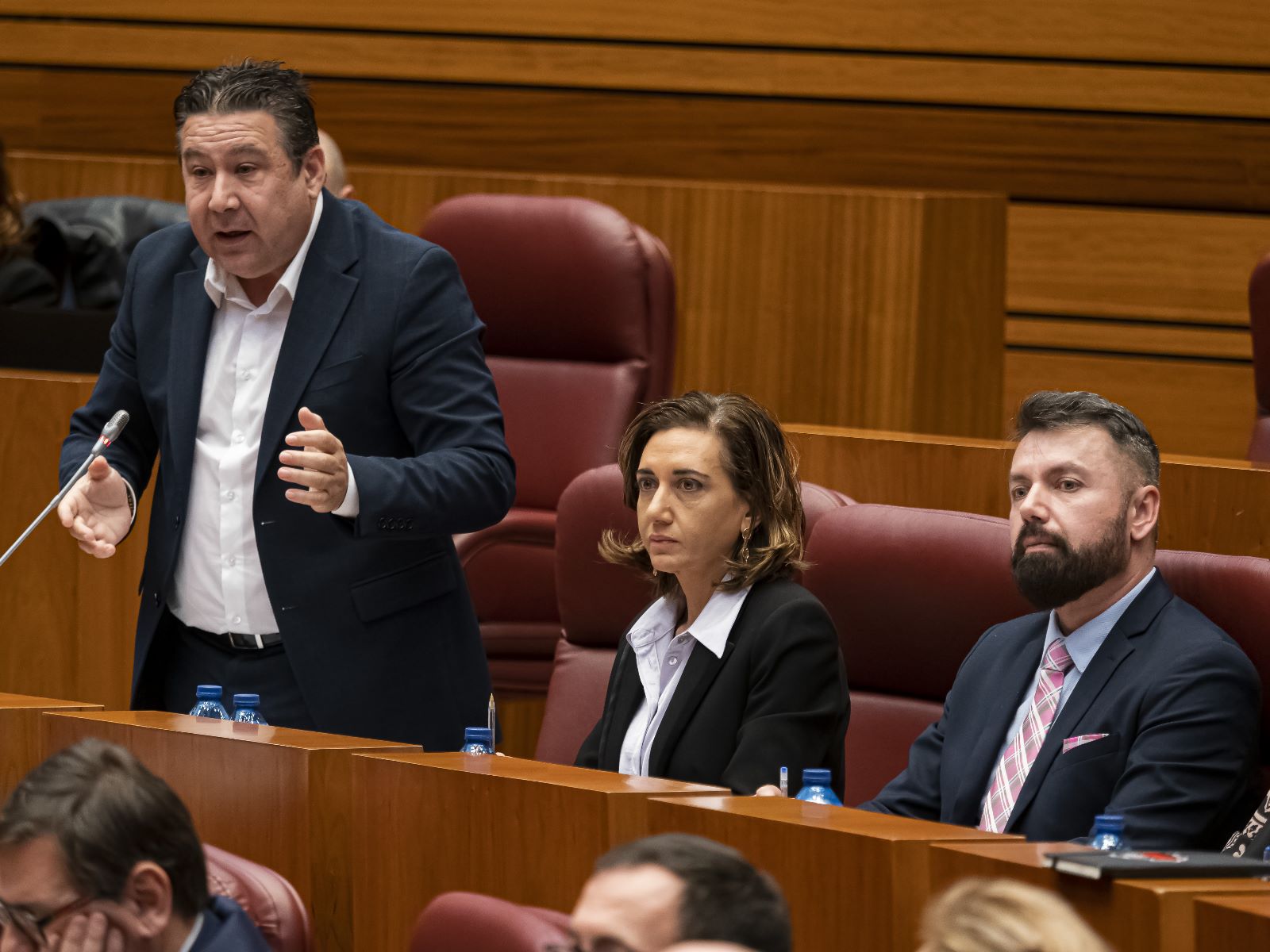 Pleno de las Cortes de Castilla y León