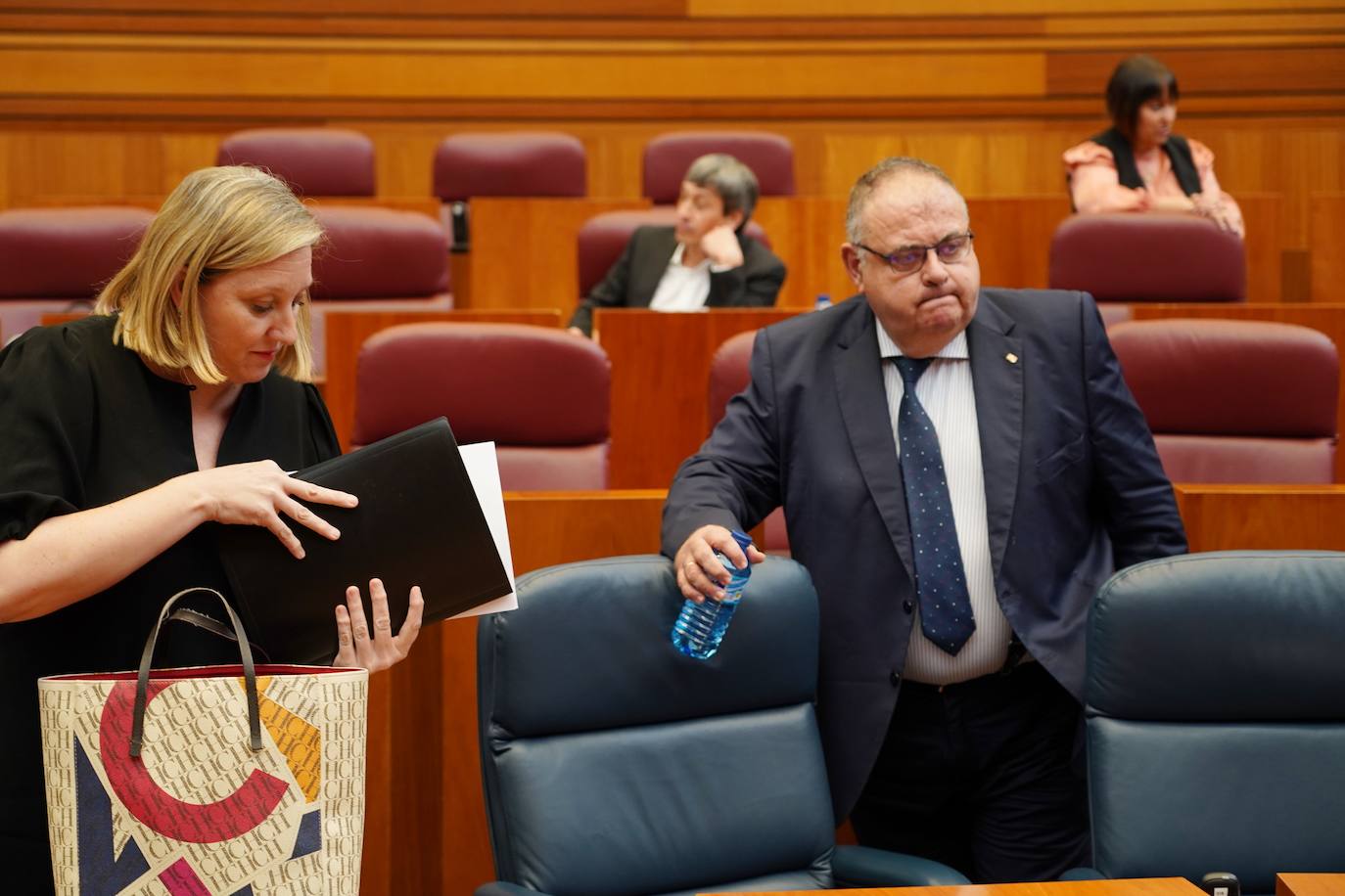 Pleno de las Cortes de Castilla y León