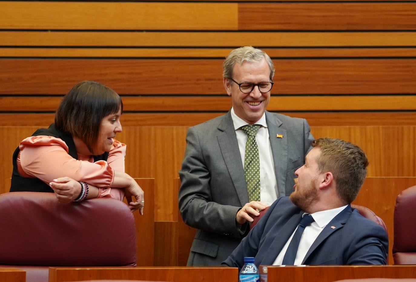 Pleno de las Cortes de Castilla y León