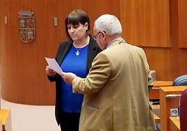 El consejero de Cultura, Gonzalo Santonja, durante el plen ode este miércoles.