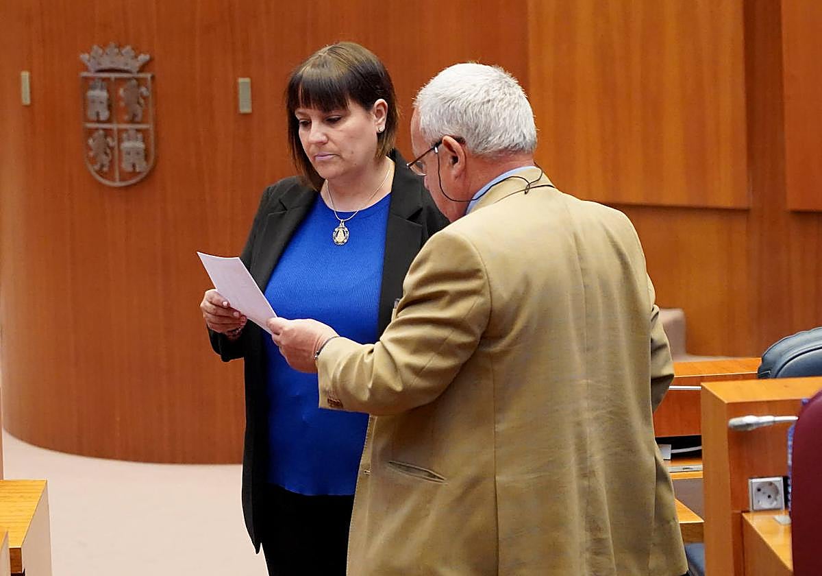 El consejero de Cultura, Gonzalo Santonja, durante el plen ode este miércoles.