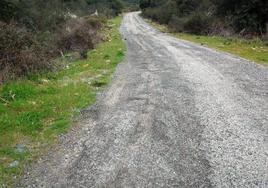 Estado de la carretera que da acceso a la localidad berciana.