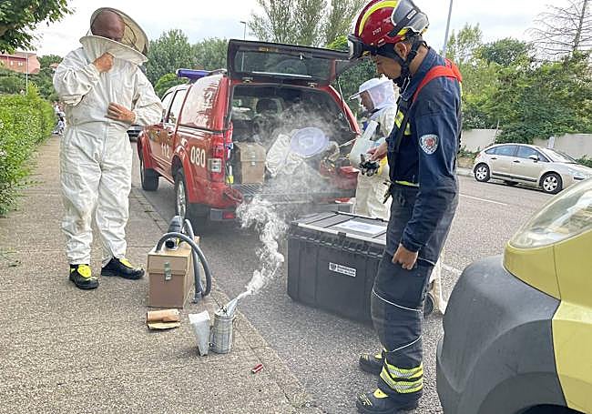 Retirada de enjambre en una vivienda en Armunia .