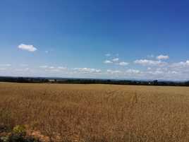 Continuamos en el trance del paso de primavera a verano con temperaturas veraniegas que permiten dejar la chaquetina en casa