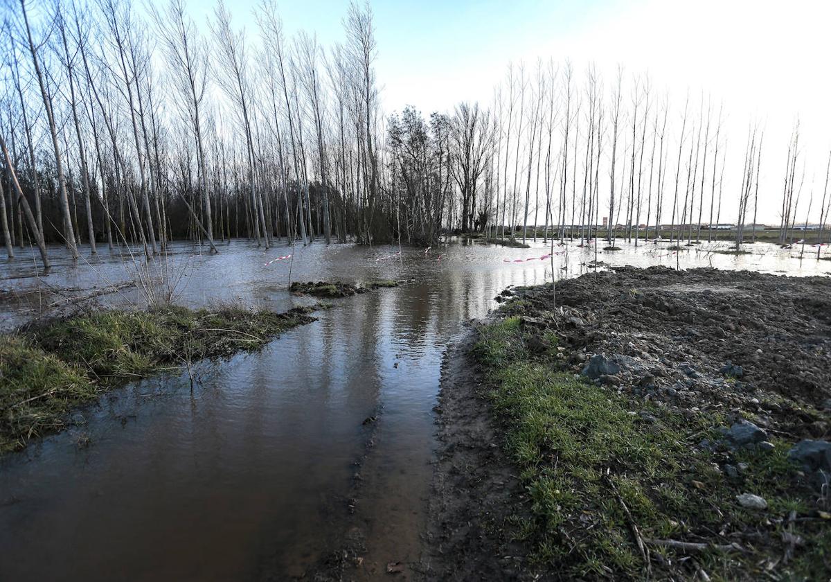 Crecida del río Tuerto a su paso por San Félix de la Vega. Imagen de archivo.