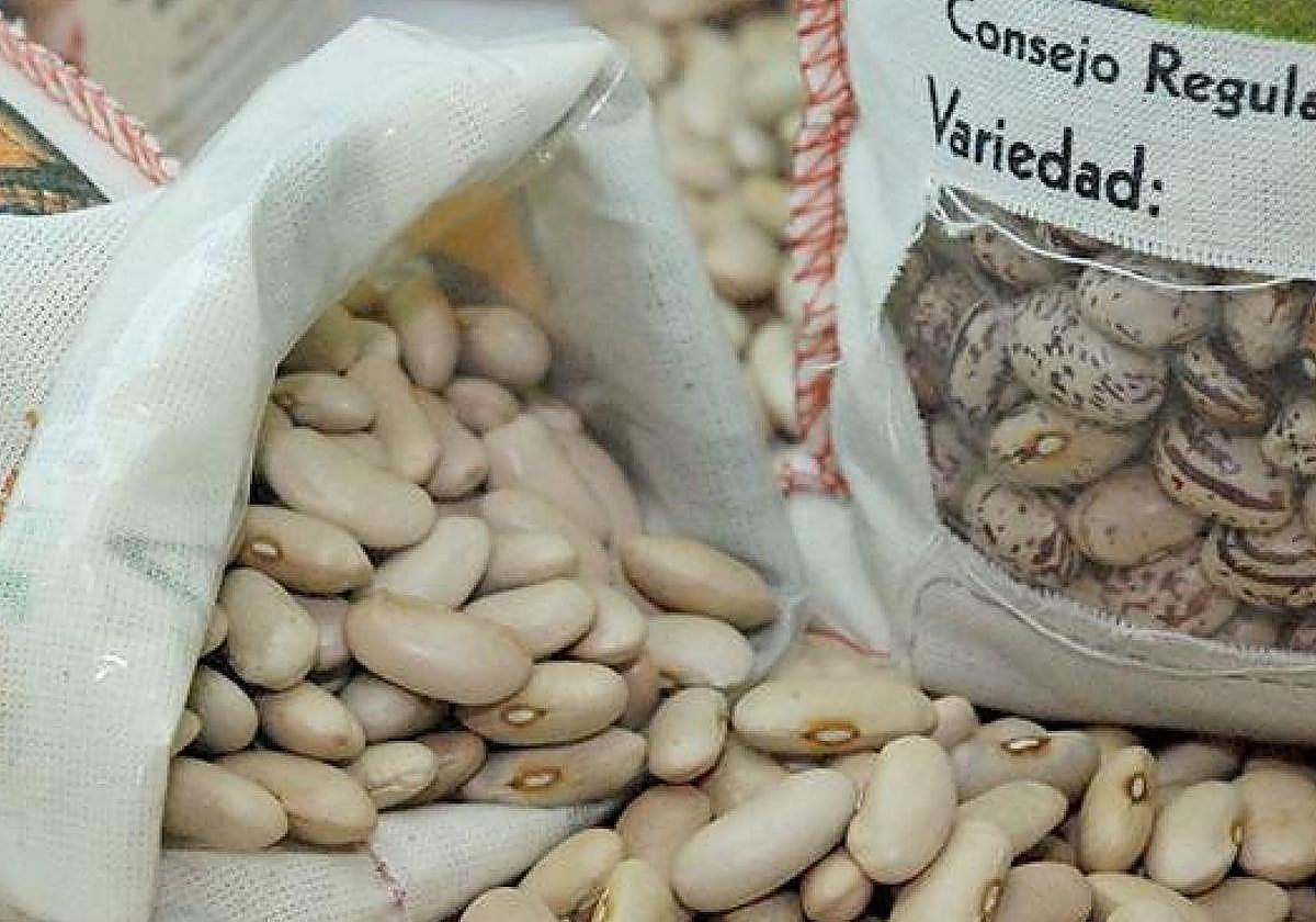 Las cuatro variedades de Alubia de La Bañeza IGP desembarcan en Madrid.