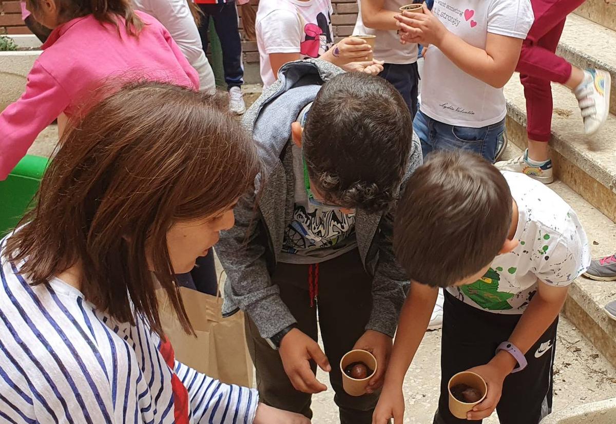 Escolares participantes en la séptima edición delos talleres de Campelo Bosques.