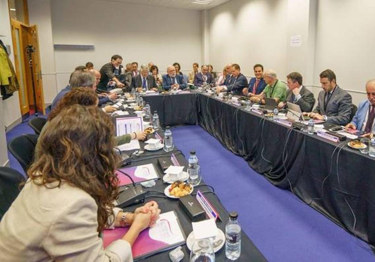 Imagen de la reunión de las cámaras.