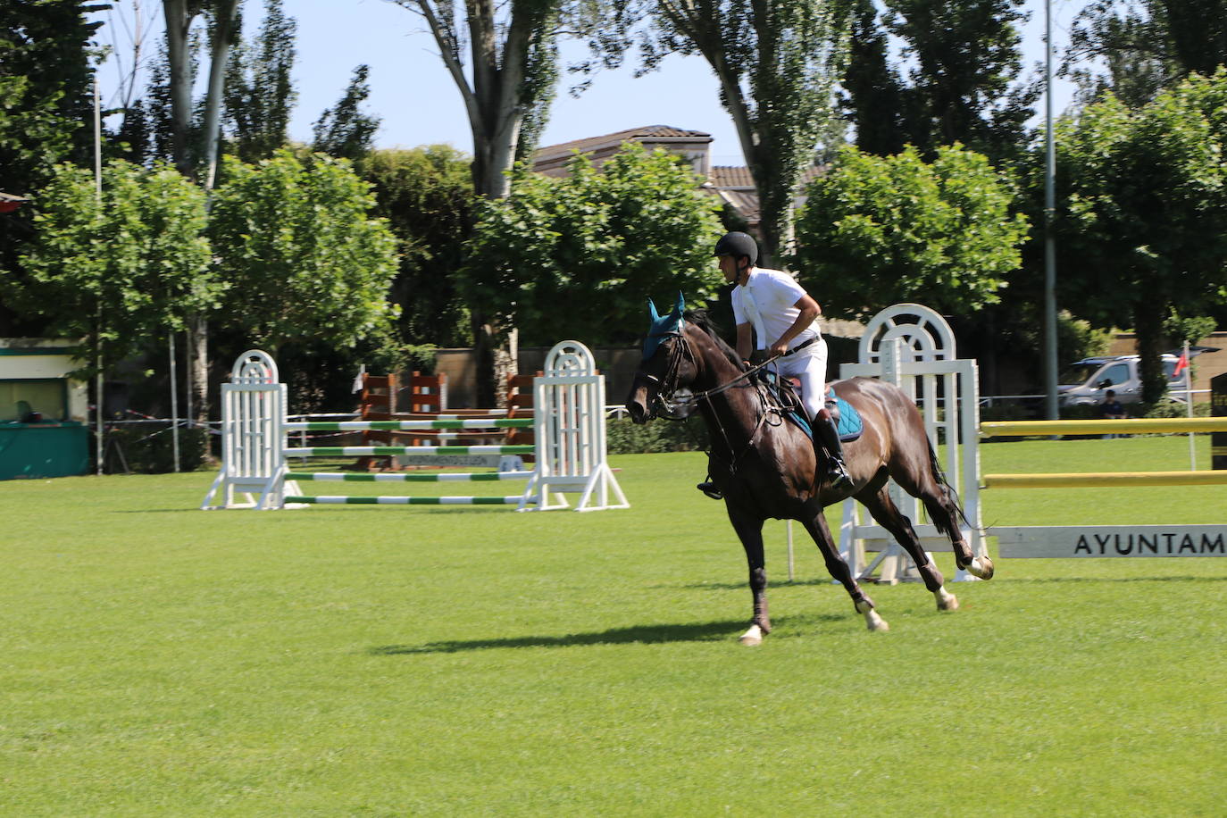 Concurso Nacional de Saltos en el Hípico de León