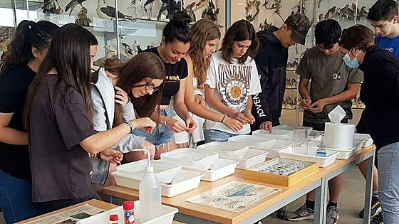 La Universidad de León programa la segunda edición del 'Campus Científico de Verano'