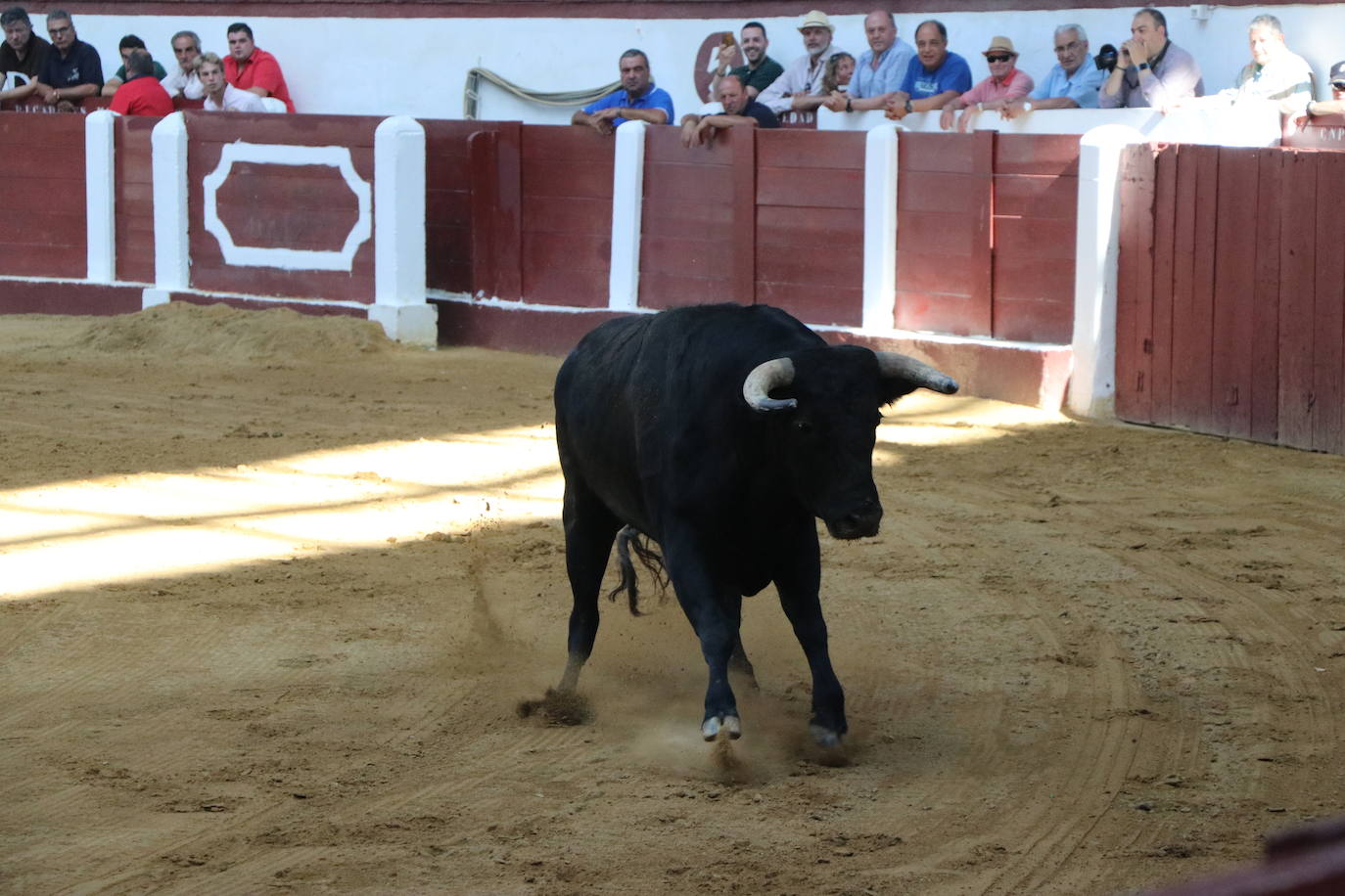 Corrida de rejones de San Juan y San Pedro