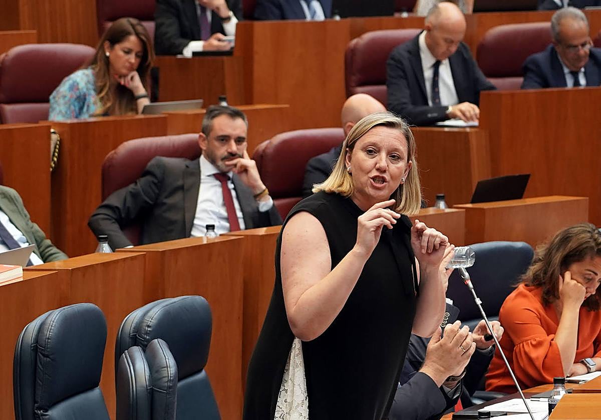 Isabel Blanco durante el pleno de las Cortes.