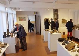 El Aula Paleobotánica de Fabero.