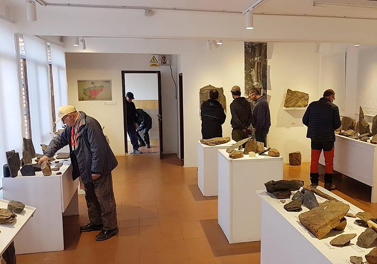 El Aula Paleobotánica de Fabero.