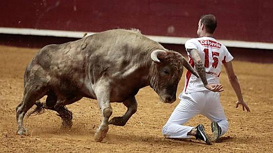 Herido grave un joven recortador vallisoletano en el encierro de Arévalo (Ávila)