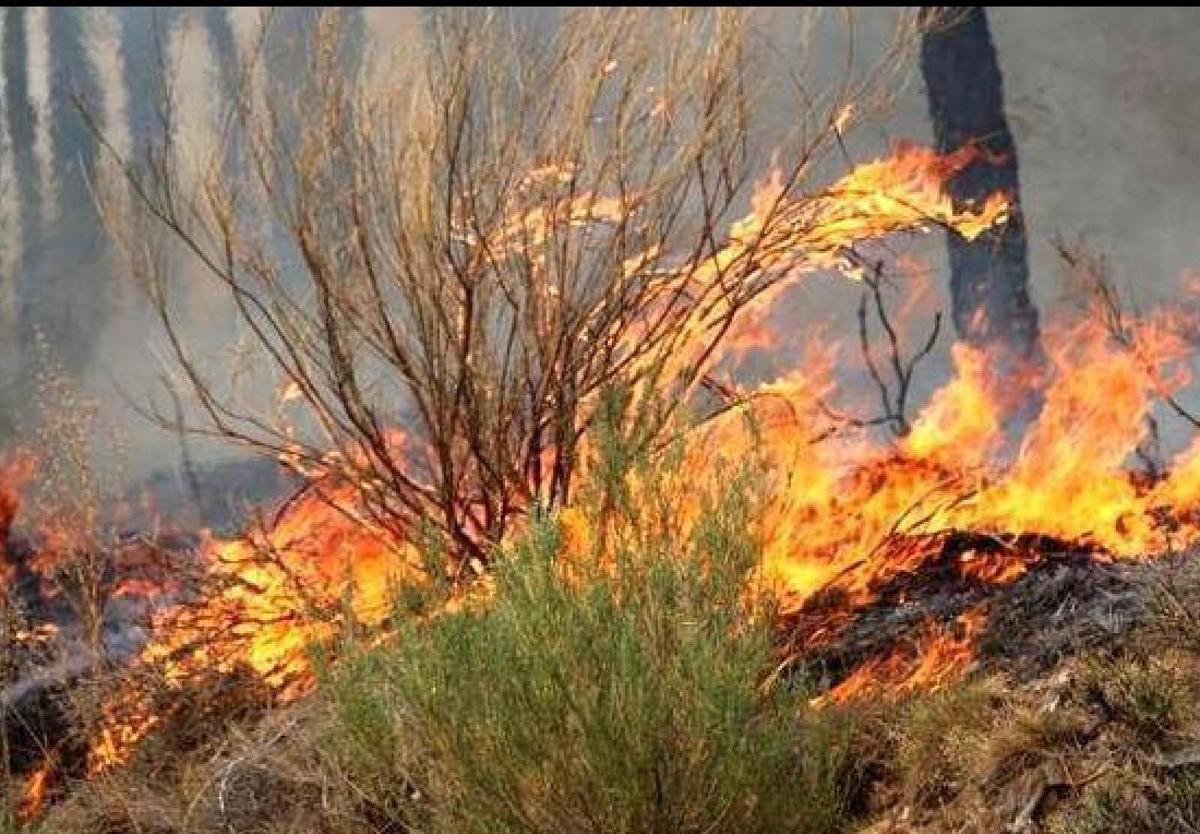 Imagen de archivo de un incendio en León.