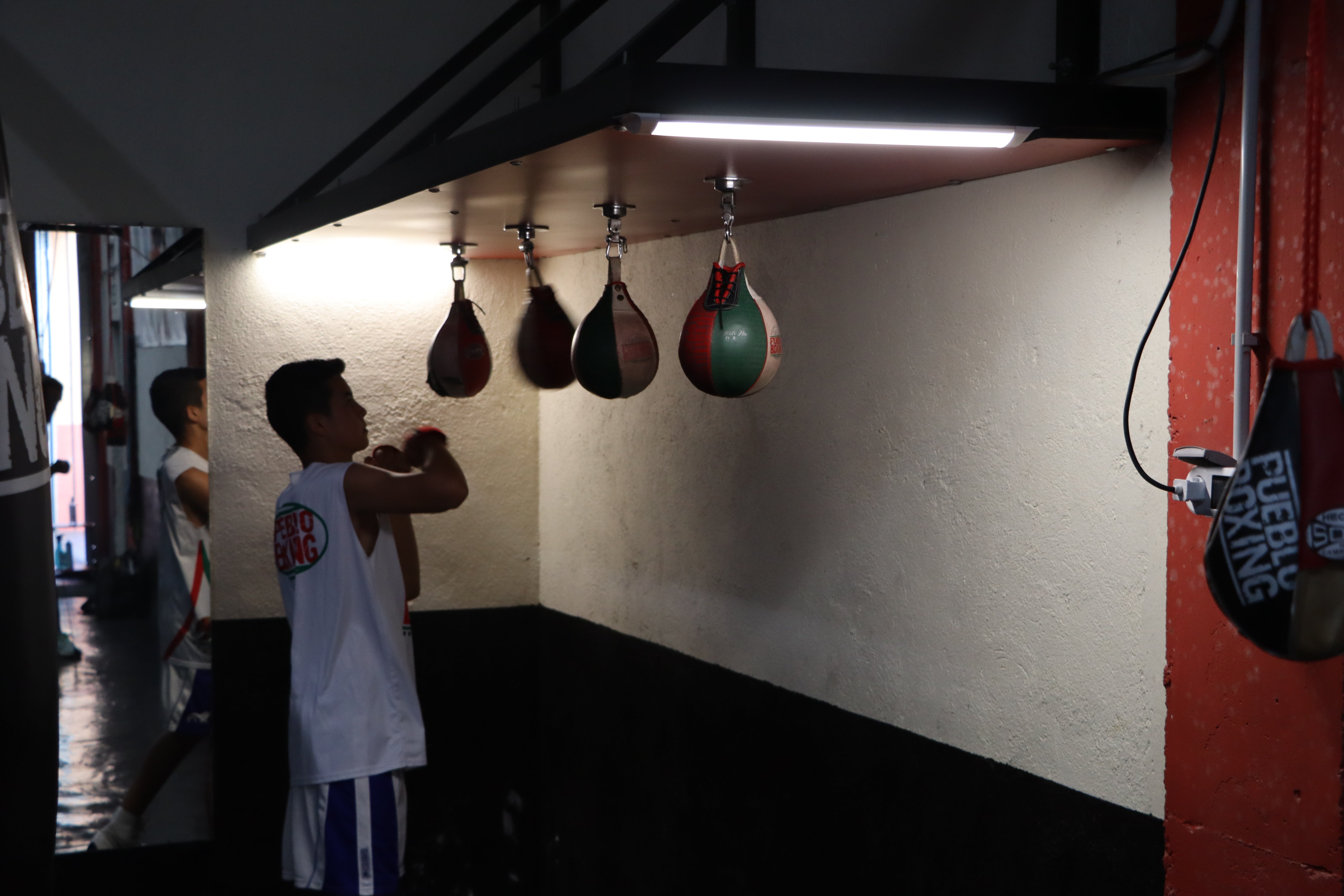 El boxeo se vive en León