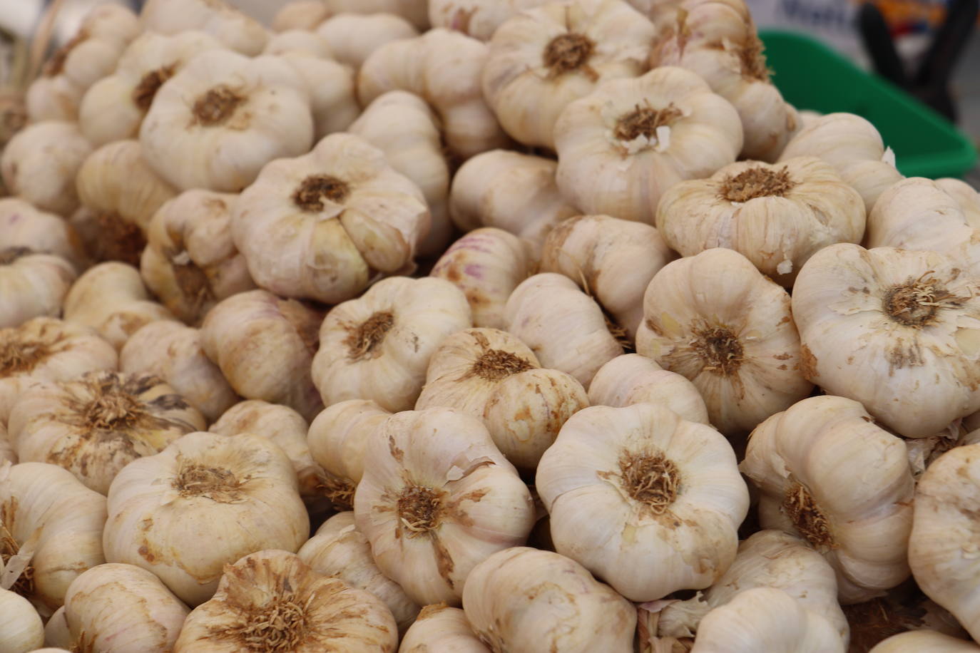 Feria del ajo en Veguellina de Órbigo