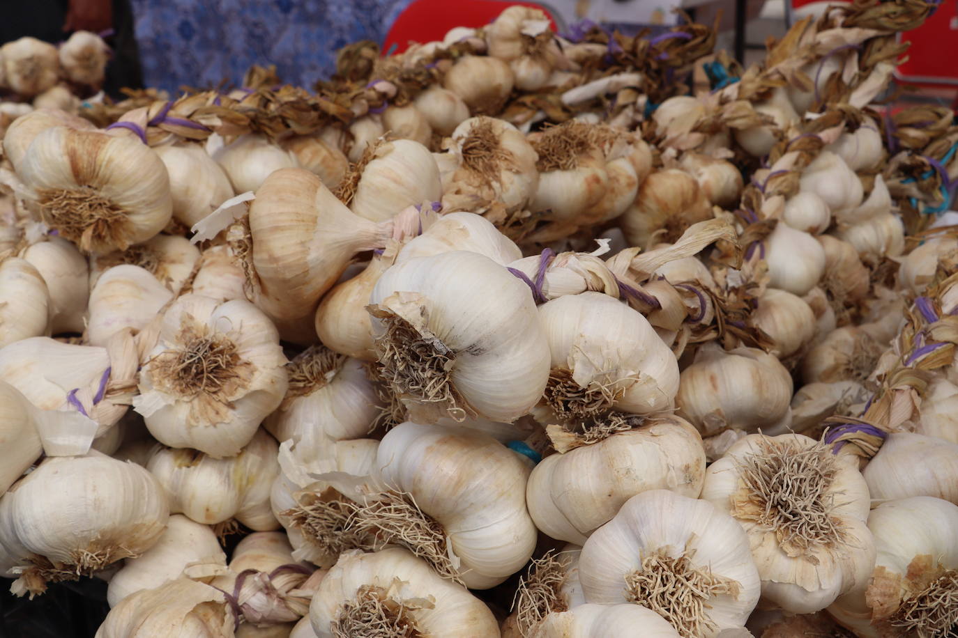 Feria del ajo en Veguellina de Órbigo