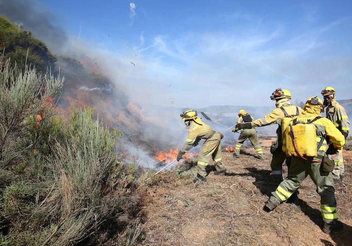 Varios efectivos tratan de sofocar un incendio forestal en una imagen de archivo.