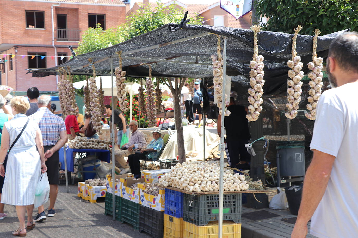 Feria del Ajo en Santa Marina del Rey