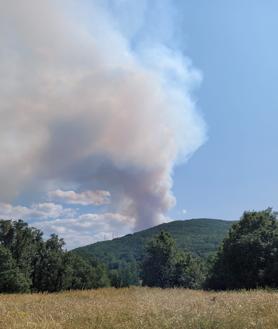 Imagen secundaria 2 - El incendio baja a nivel 0 tras quemar «más de 100 hectáreas» en 24 horas