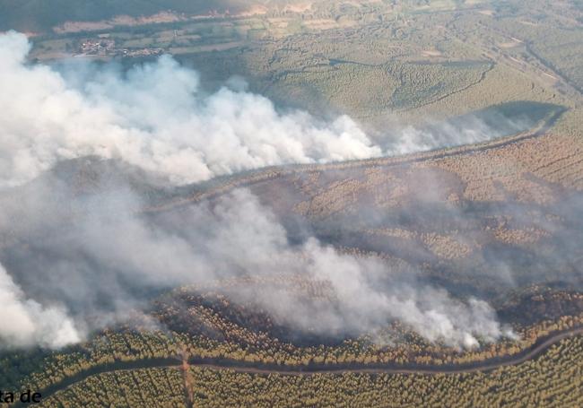 Situación que presentaba el incendio esta mañana.
