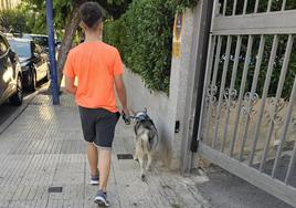 Cada vez más hogares cuentan con un perro en la ciudad de León.