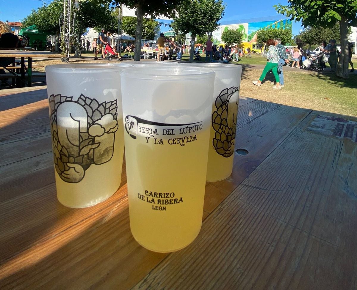 La Feria de la Cerveza de Carrizo, en imágenes