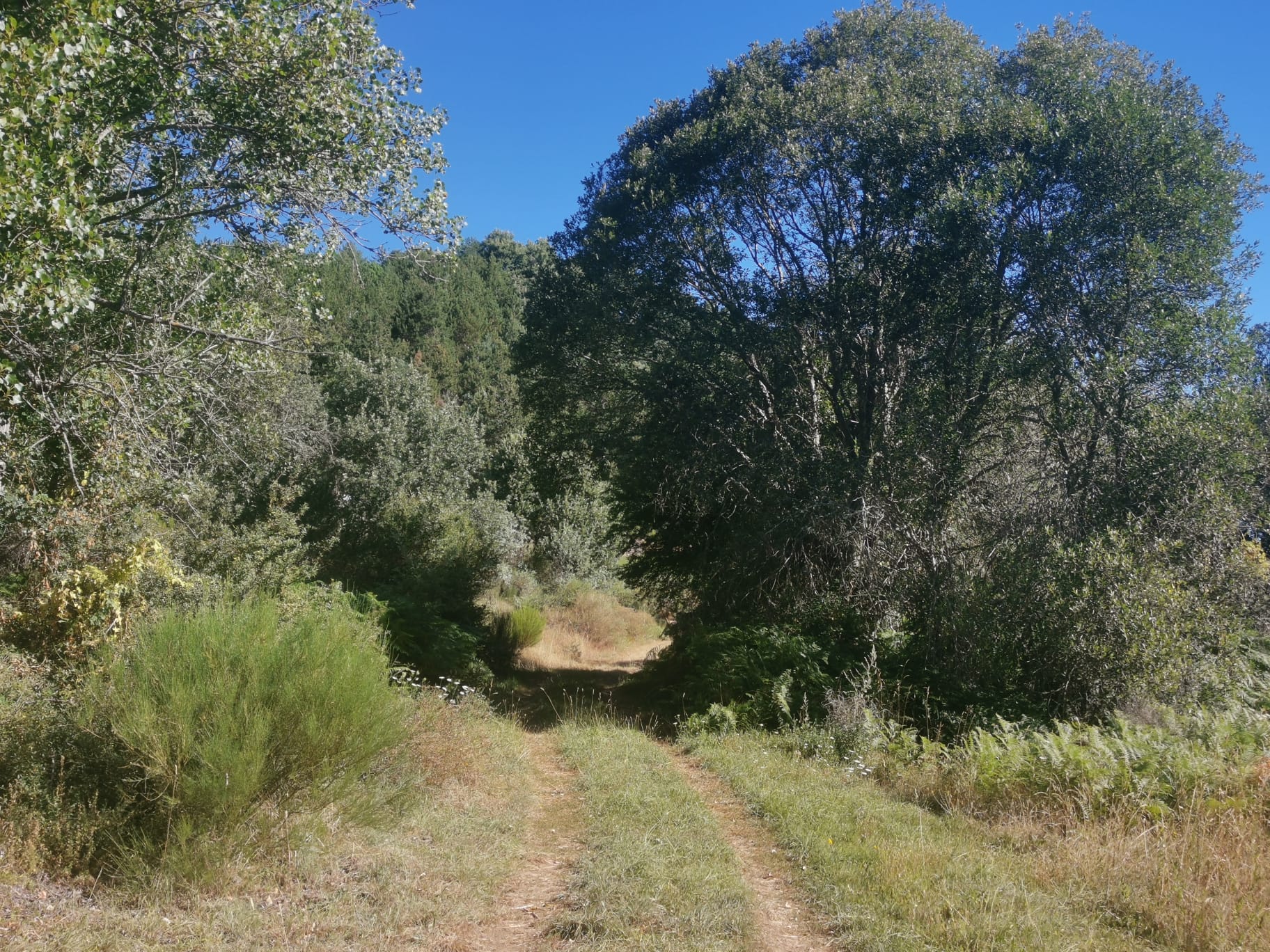 Ruta de Las Miédolas