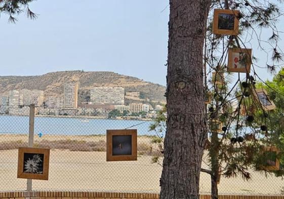 Las obras expuestas en el jardín del CAMP Santa Faz de Alicante.