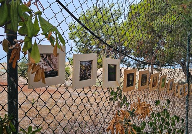 Obras de la muestra colgadas de una valla.