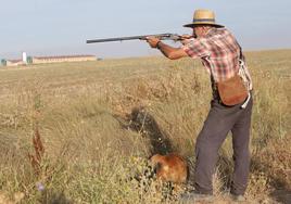 Cazadores de Zamora durante el inicio de la media veda.