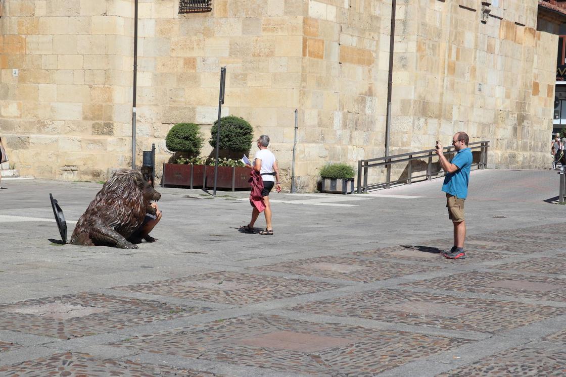 El León saliendo de la alcantarilla siempre levanta risas y curiosidad entre los que nos visitan.