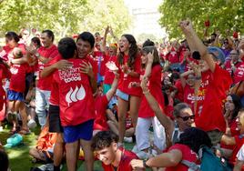 Aficionados en Castilla y León celebrando la victoria de España.