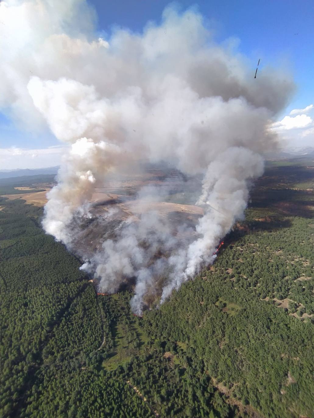 Imagen de la superficie afectada por el incendio