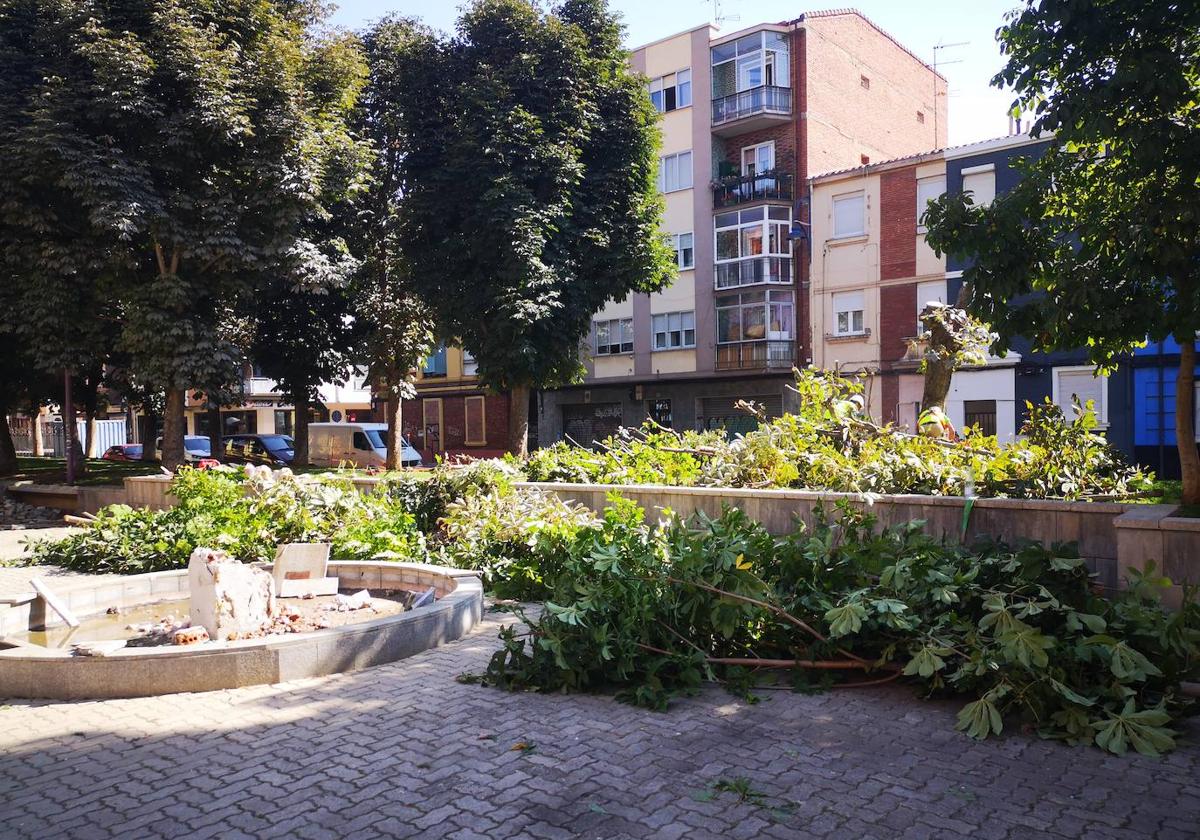 Imágenes de la poda de ramas en el parque de San Mamés.