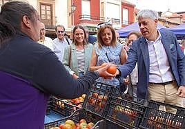 Mansilla de las Mulas estabiliza los 300.000 kilos de producción de tomate.