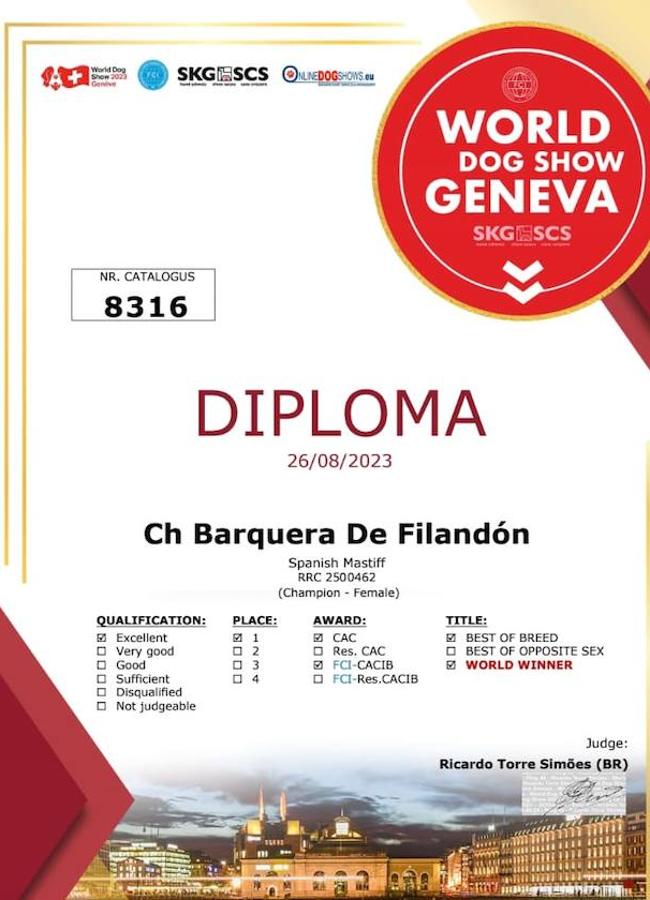 Diploma que acredita a Barquera de Filandón como el mejor mastín español del mundo.