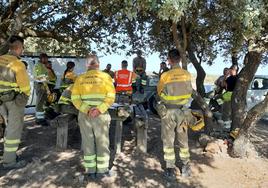 Bomberos forestales de la Junta en una imagen de archivo.