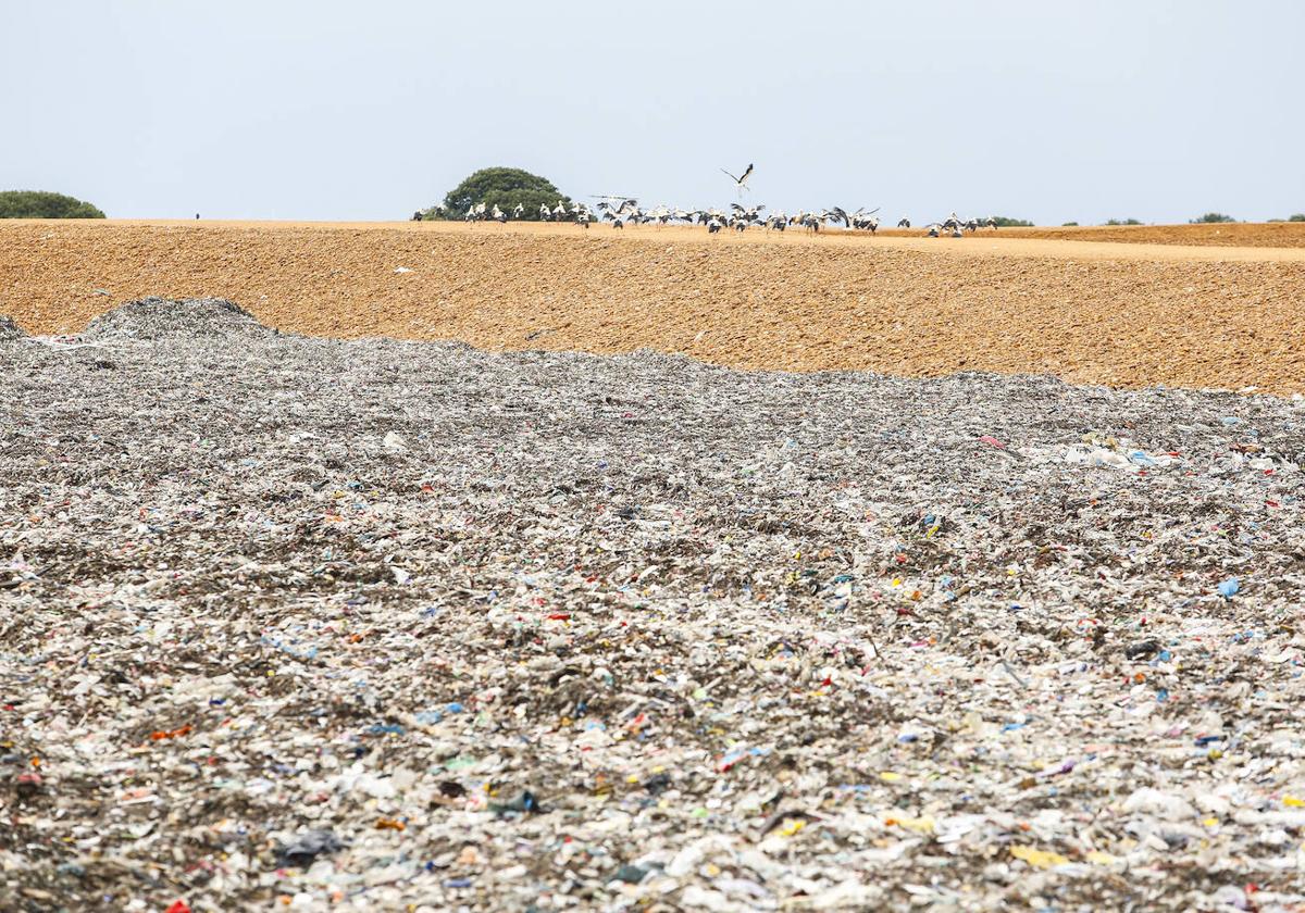 El parque se ubica entre los arroyos de los valles de la Calzada y de Rozas, afluentes de los ríos Tuerto y Órbigo, y sobre el acuífero detrítico terciario del Tuerto-Esla