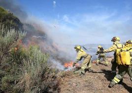 Imagen de archivo de agentes medioambientales luchando contra un incendio en la provincia de León.