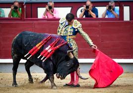 Un momento de la faena entre Mochuelo y Damián Castaño, en Las Ventas.