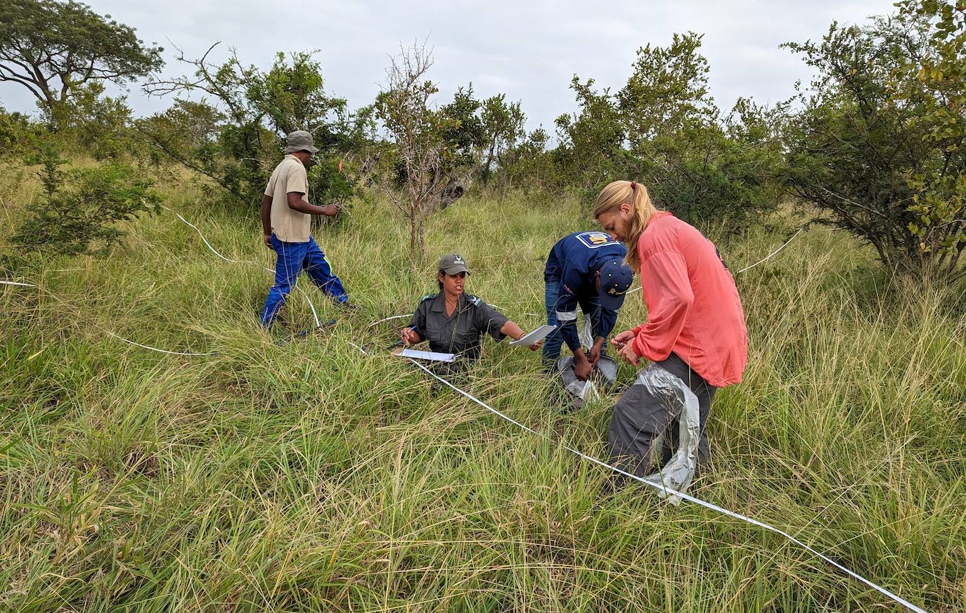 Un investigador leonés en África