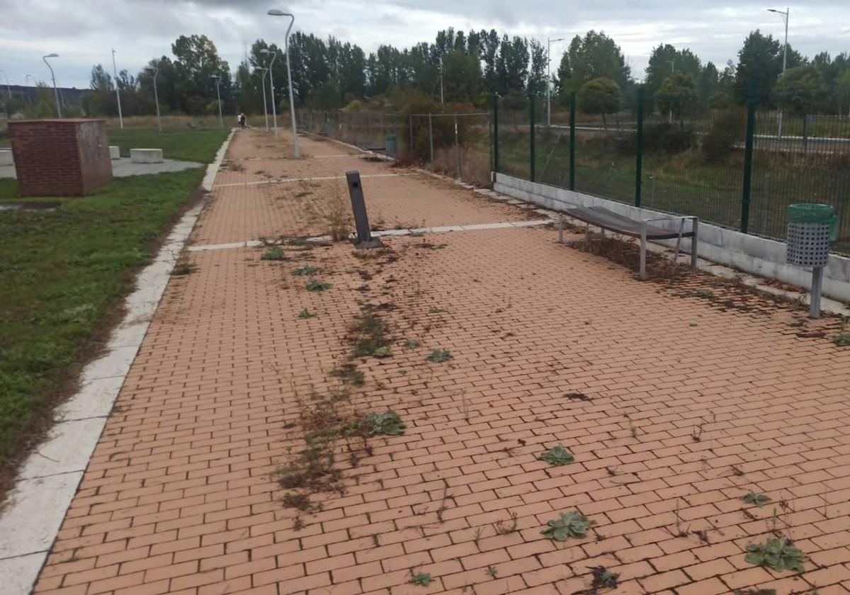 UPL denuncia el «abandono» de las zonas verdes en los barrios de León