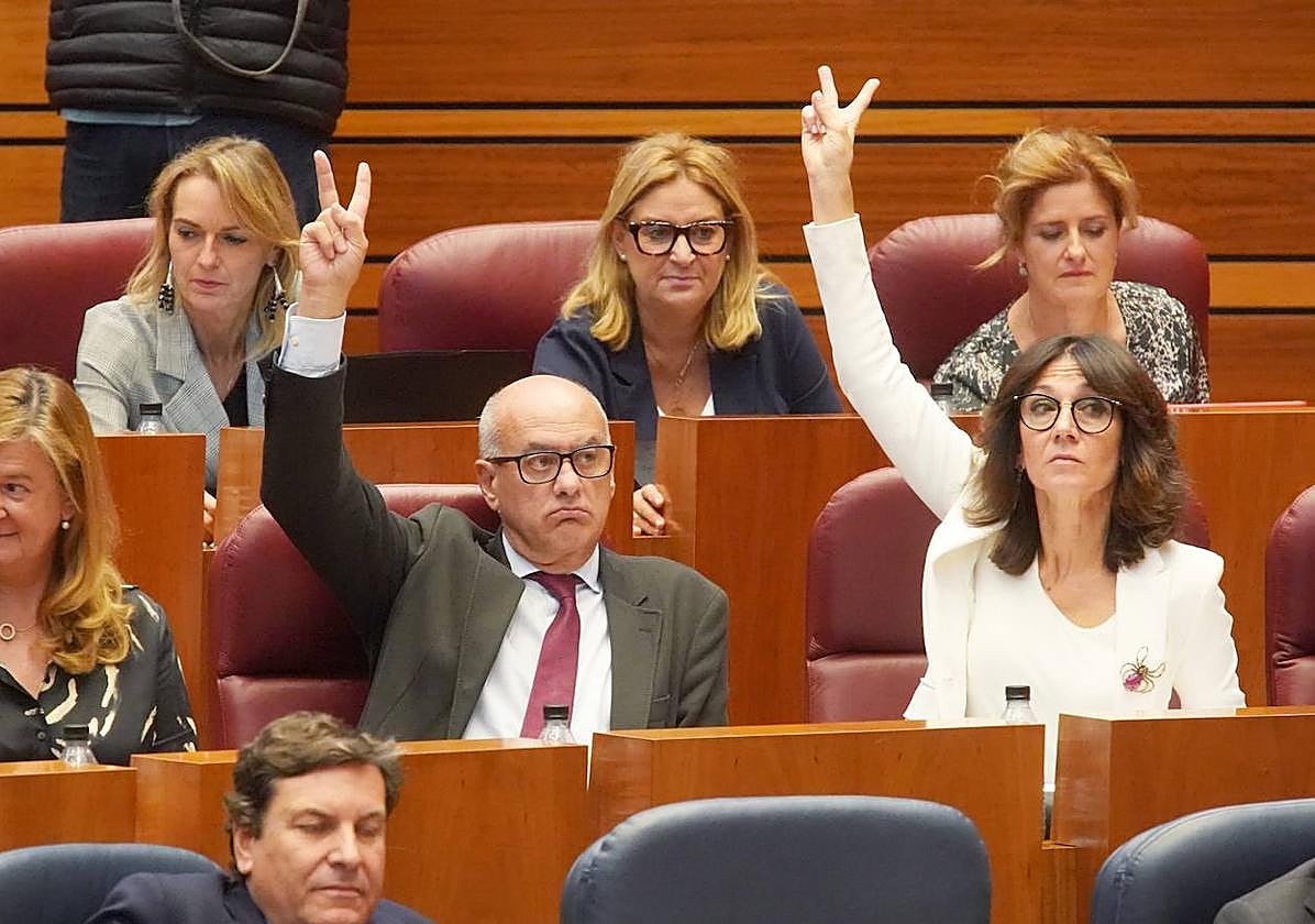 Votación en el Pleno de las Cortes.