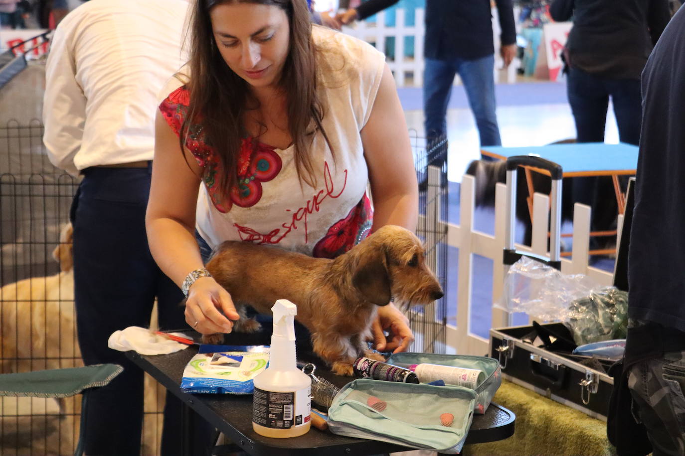 XXV Exposición Internacional Canina de León