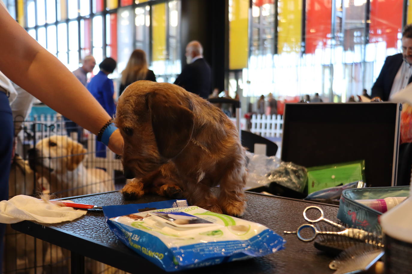 XXV Exposición Internacional Canina de León