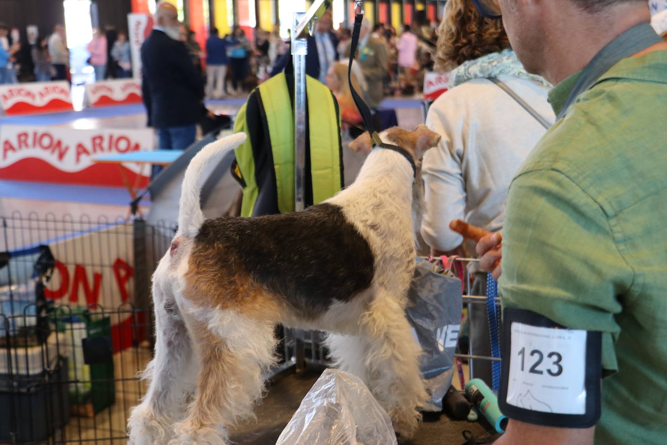 XXV Exposición Internacional Canina de León